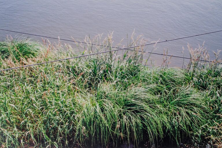 o. T., aus der Serie „Fest / Flüssig“ (Magdeburg, Dresden) - Ulrich Wüst 