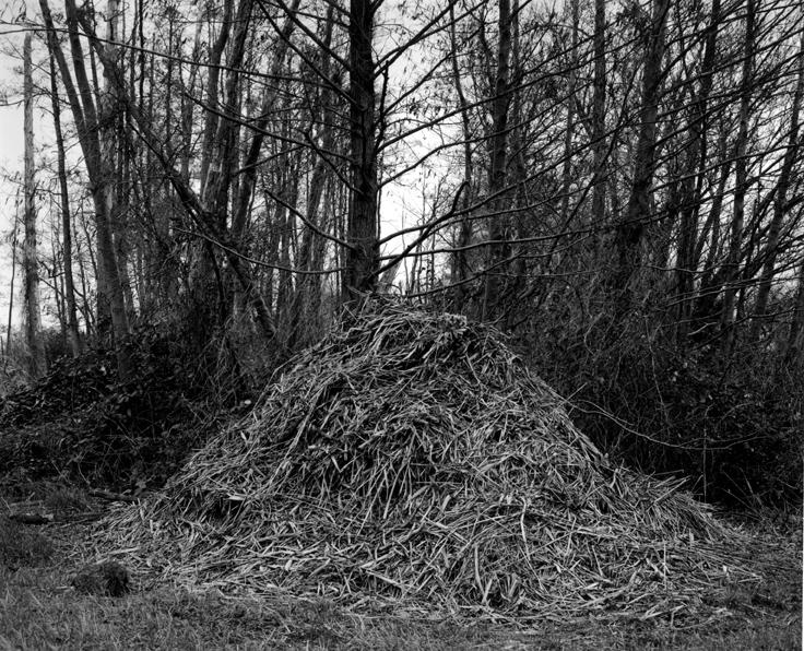 o. T . (aus der Serie „Oderbruch“) - Ingar Krauss 