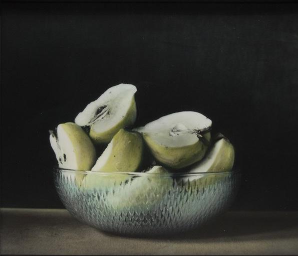 o. T. (Quitten) - Ingar Krauss 