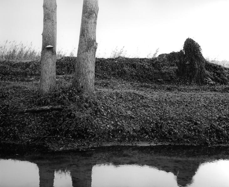 o. T . (aus der Serie „Oderbruch“) - Ingar Krauss 