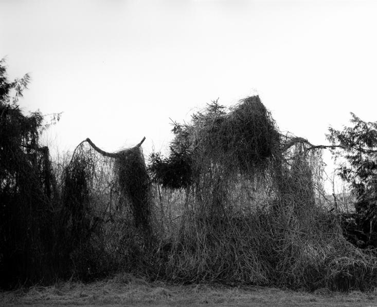 o. T . (aus der Serie „Oderbruch“) - Ingar Krauss 