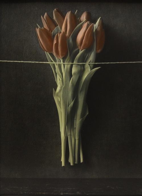 o. T. (Rote Tulpen) - Ingar Krauss 