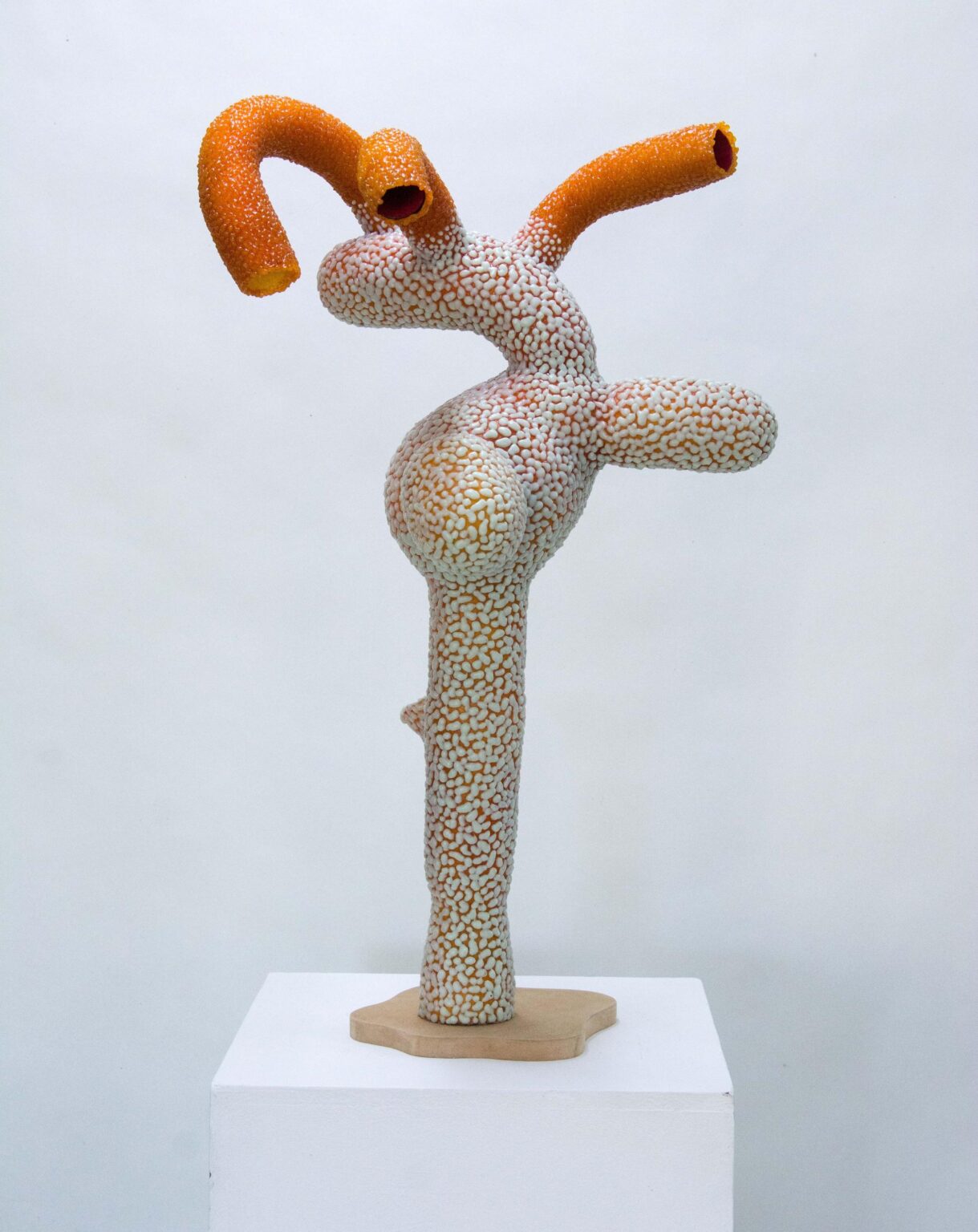 MS1460 (aus der Serie &bdquo;Flechten & Moose&ldquo;) - Marina Schreiber 