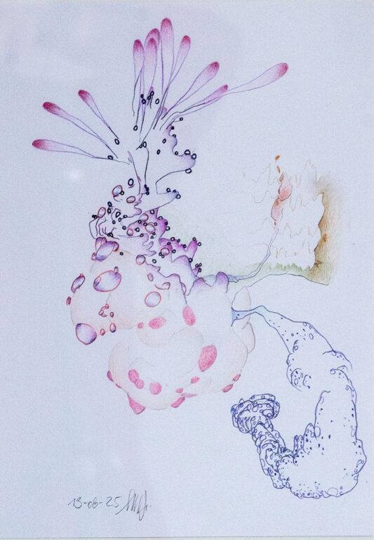 o. T. (aus der Serie „Lillies of the valley“) - Marina Schreiber 