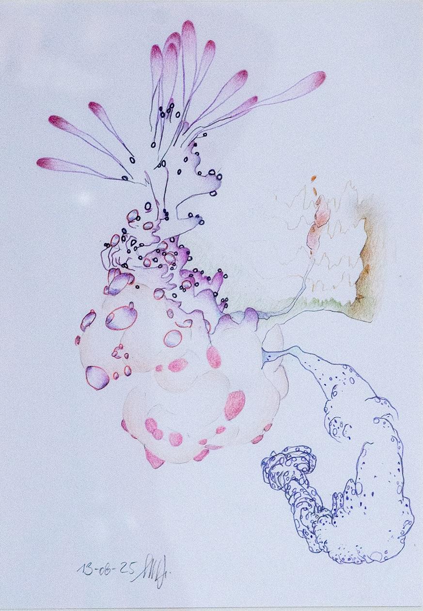 o. T. (aus der Serie &bdquo;Lillies of the valley&ldquo;) - Marina Schreiber 