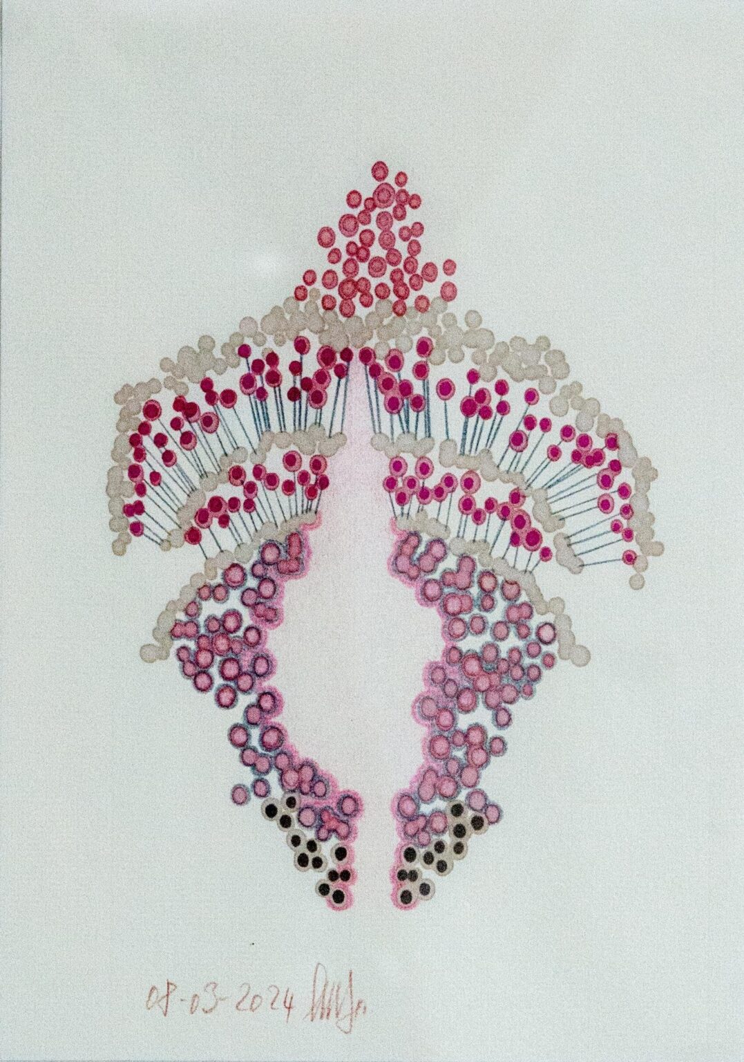 o. T. (aus der Serie &bdquo;Blumenmuskel&ldquo;) - Marina Schreiber 