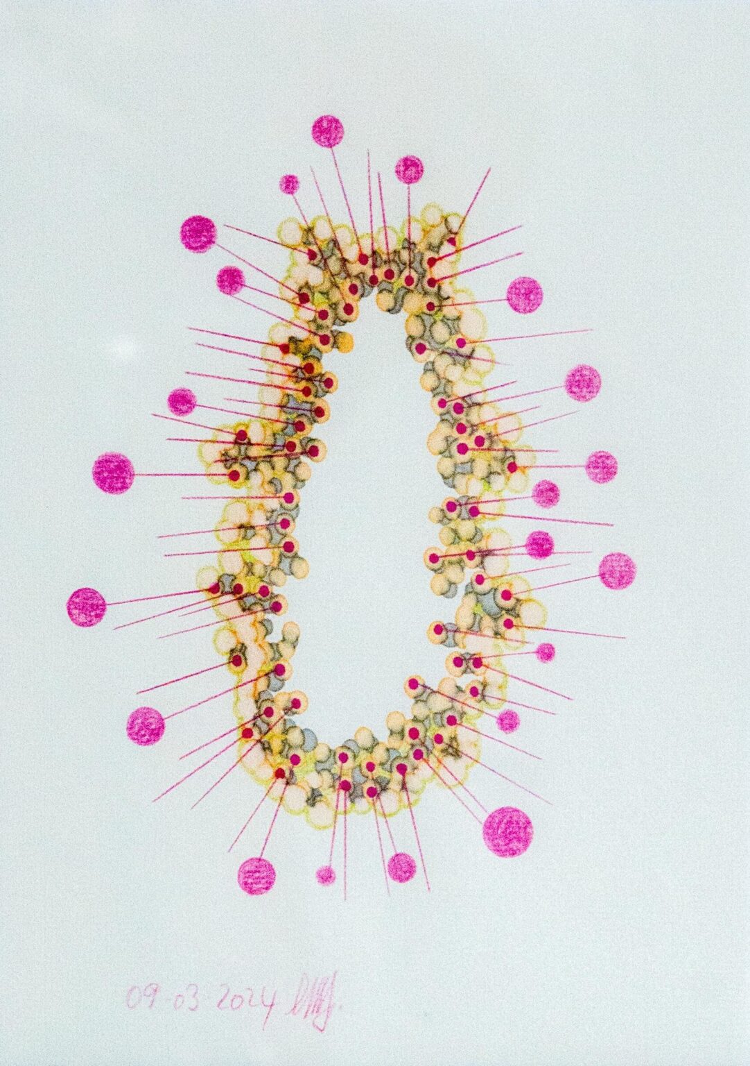 o. T. (aus der Serie &bdquo;Blumenmuskel&ldquo;) - Marina Schreiber 