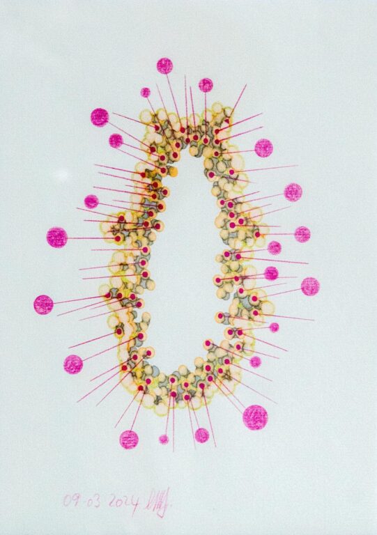 o. T. (aus der Serie „Blumenmuskel“) - Marina Schreiber 