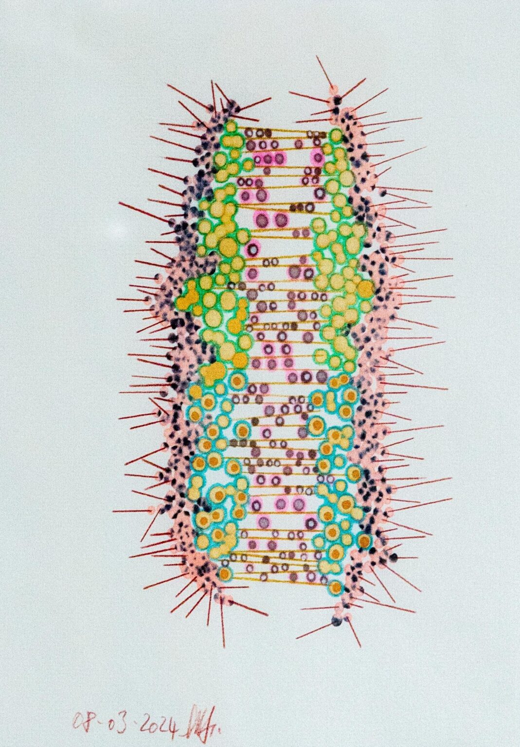 o. T. (aus der Serie &bdquo;Blumenmuskel&ldquo;) - Marina Schreiber 