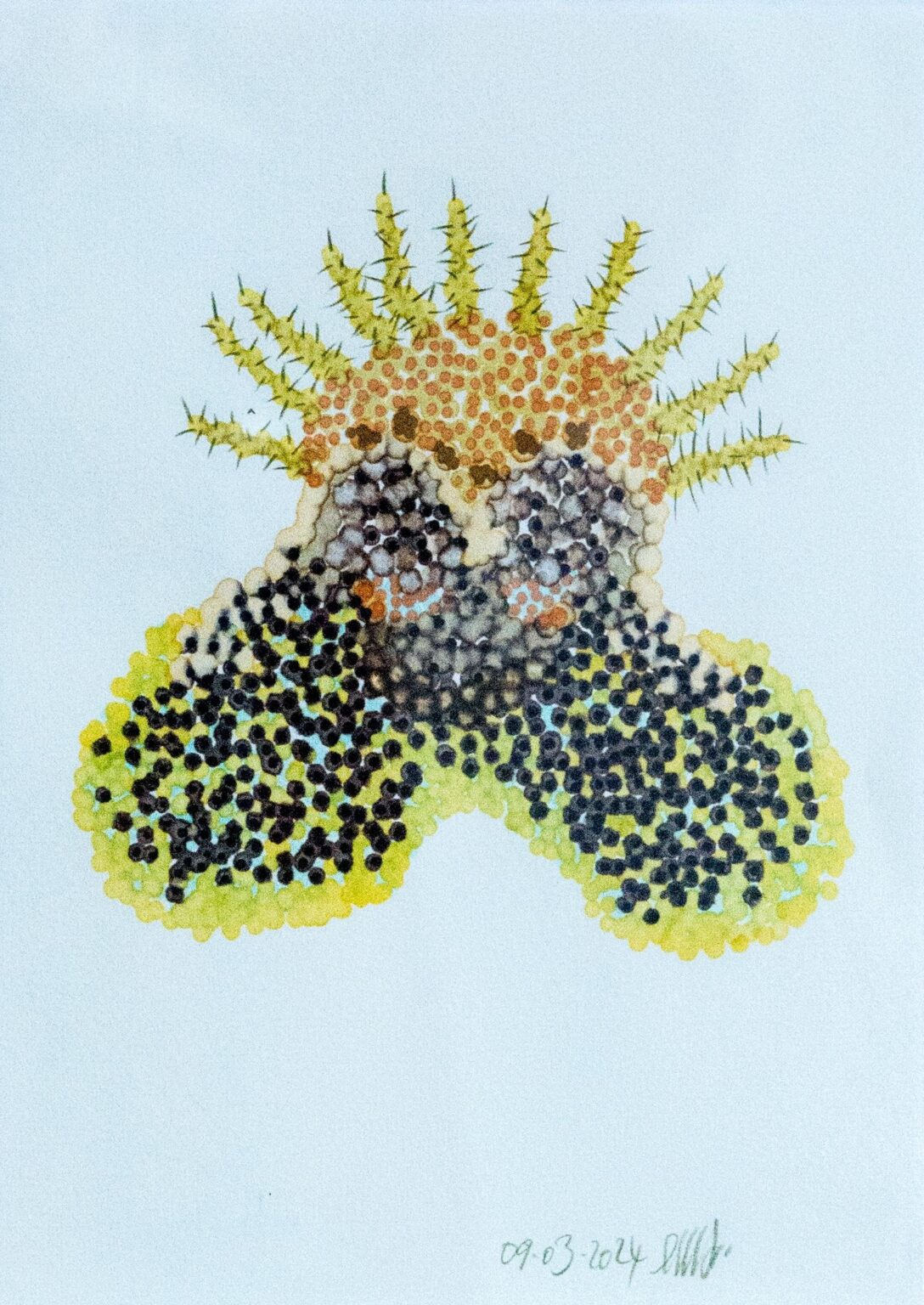 o. T. (aus der Serie &bdquo;Blumenmuskel&ldquo;) - Marina Schreiber 