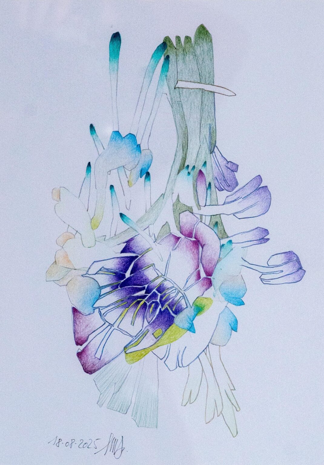 o. T. (aus der Serie &bdquo;Lillies of the valley&ldquo;) - Marina Schreiber 