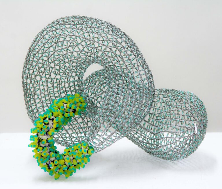 MS1465 (aus der Serie „Koralline Mantelzellen“) - Marina Schreiber 