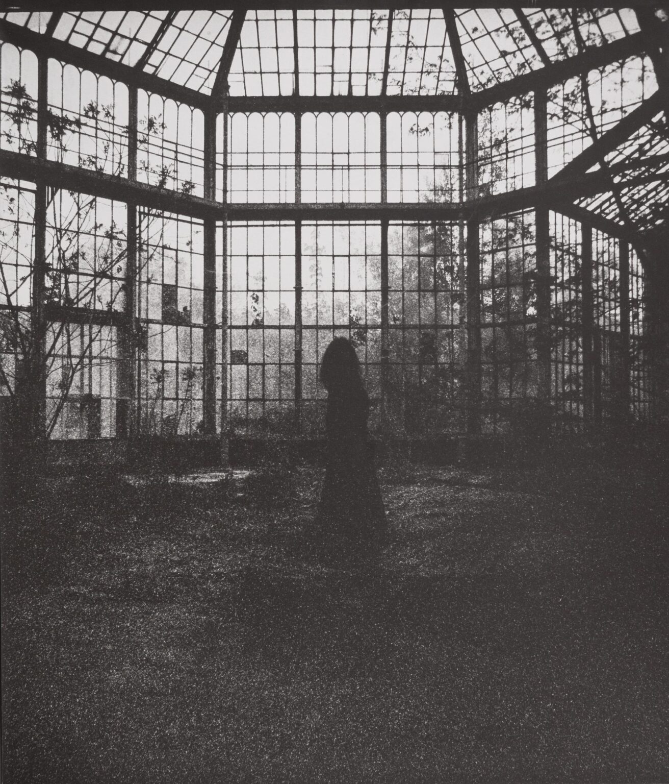 Glashaus-Suite I - Ulrich Lindner 