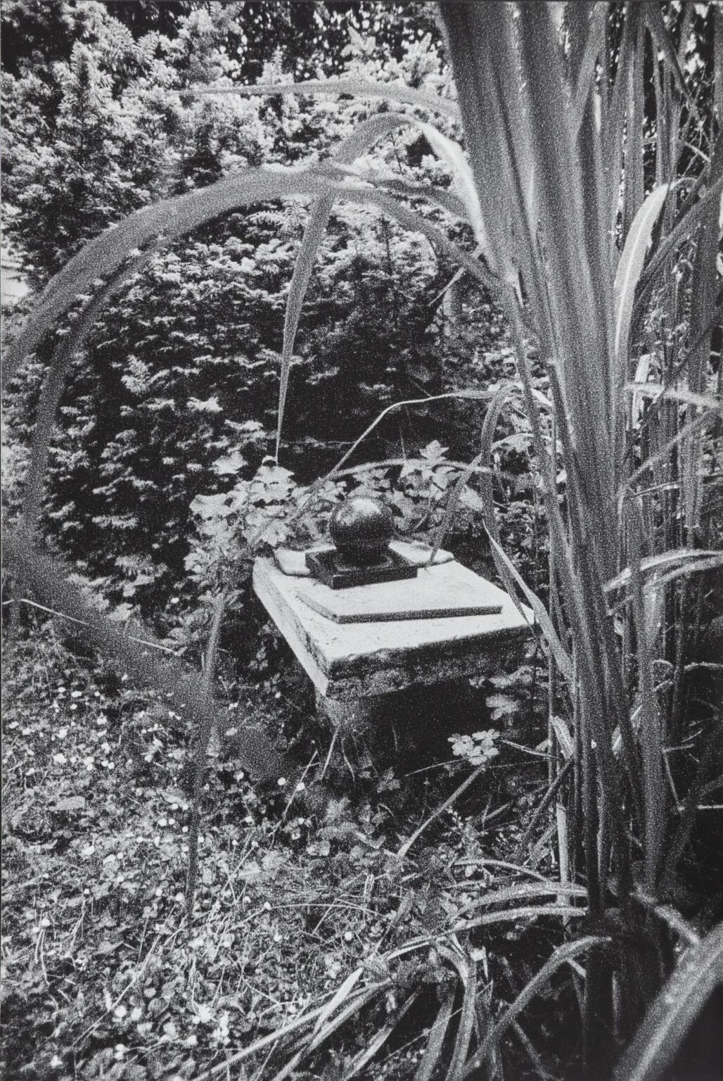 In Altenbourgs Garten IV - Ulrich Lindner 