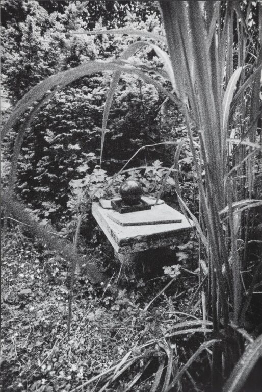 In Altenbourgs Garten IV - Ulrich Lindner 