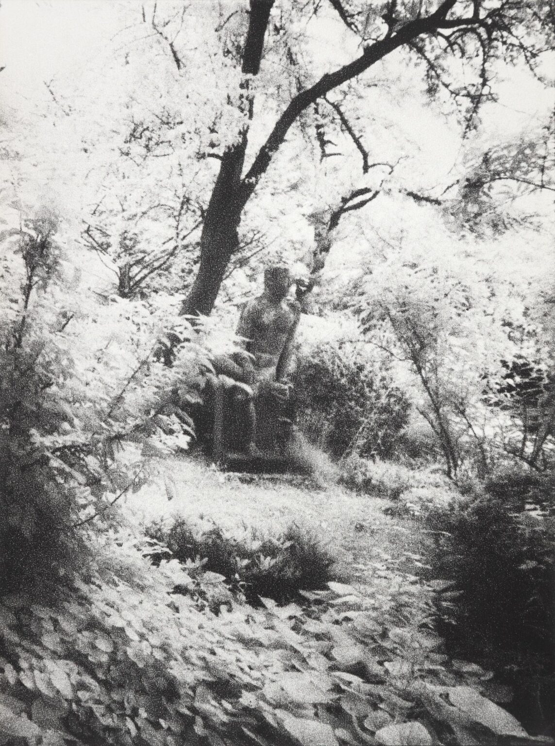 In Altenbourgs Garten VII - Ulrich Lindner 