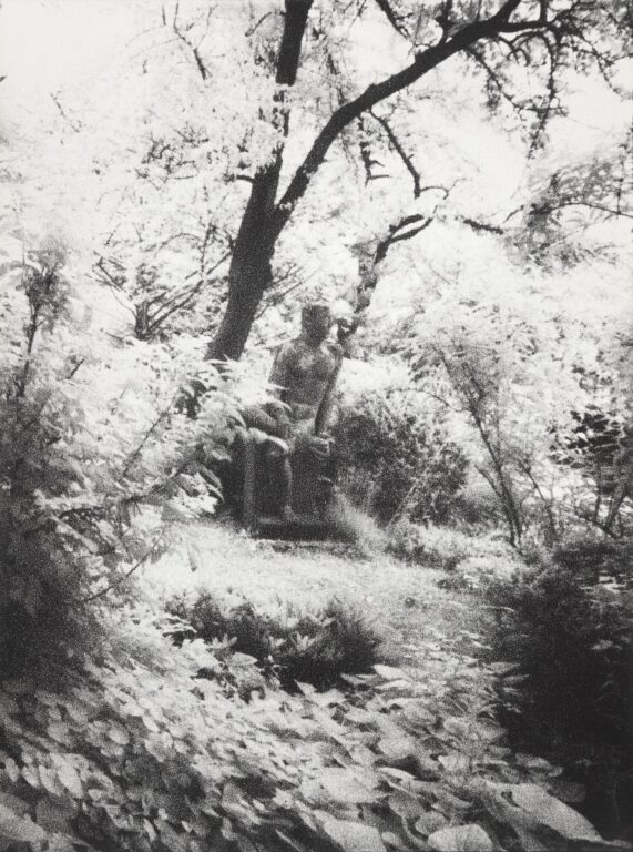 In Altenbourgs Garten VII - Ulrich Lindner 