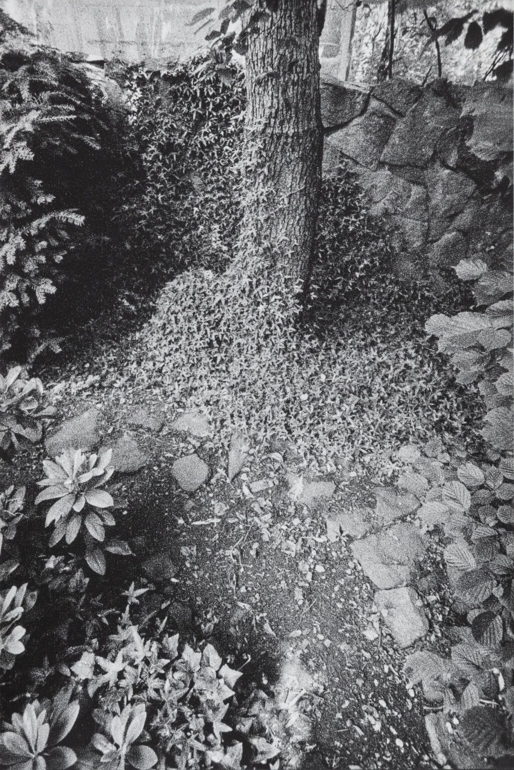 In Altenbourgs Garten V - Ulrich Lindner 