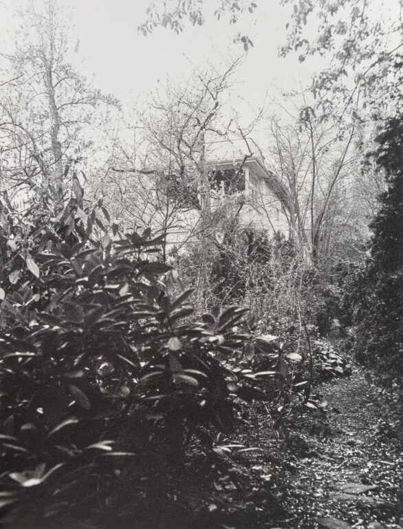In Altenbourgs Garten XI - Ulrich Lindner 
