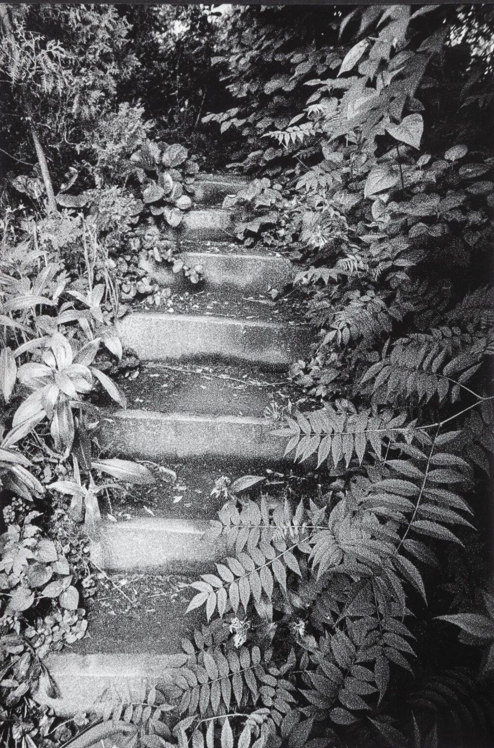 In Altenbourgs Garten II - Ulrich Lindner 