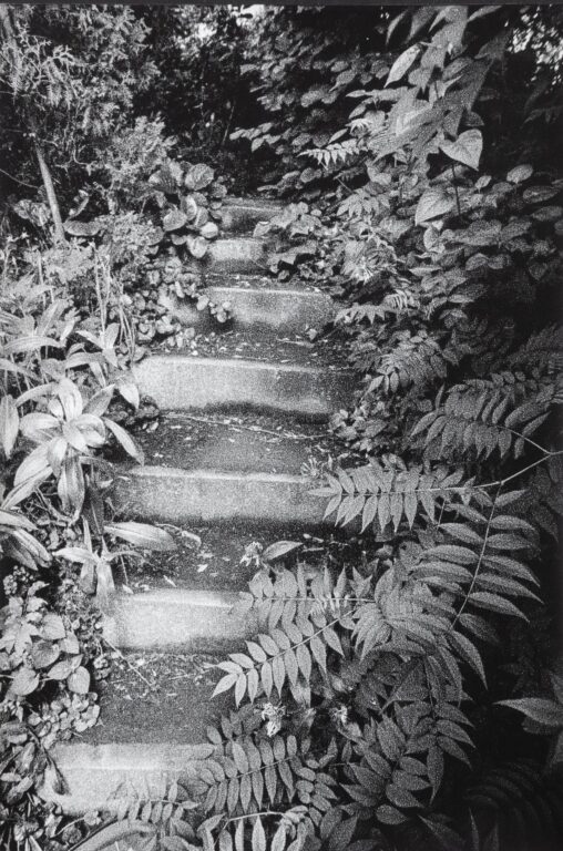 In Altenbourgs Garten II - Ulrich Lindner 