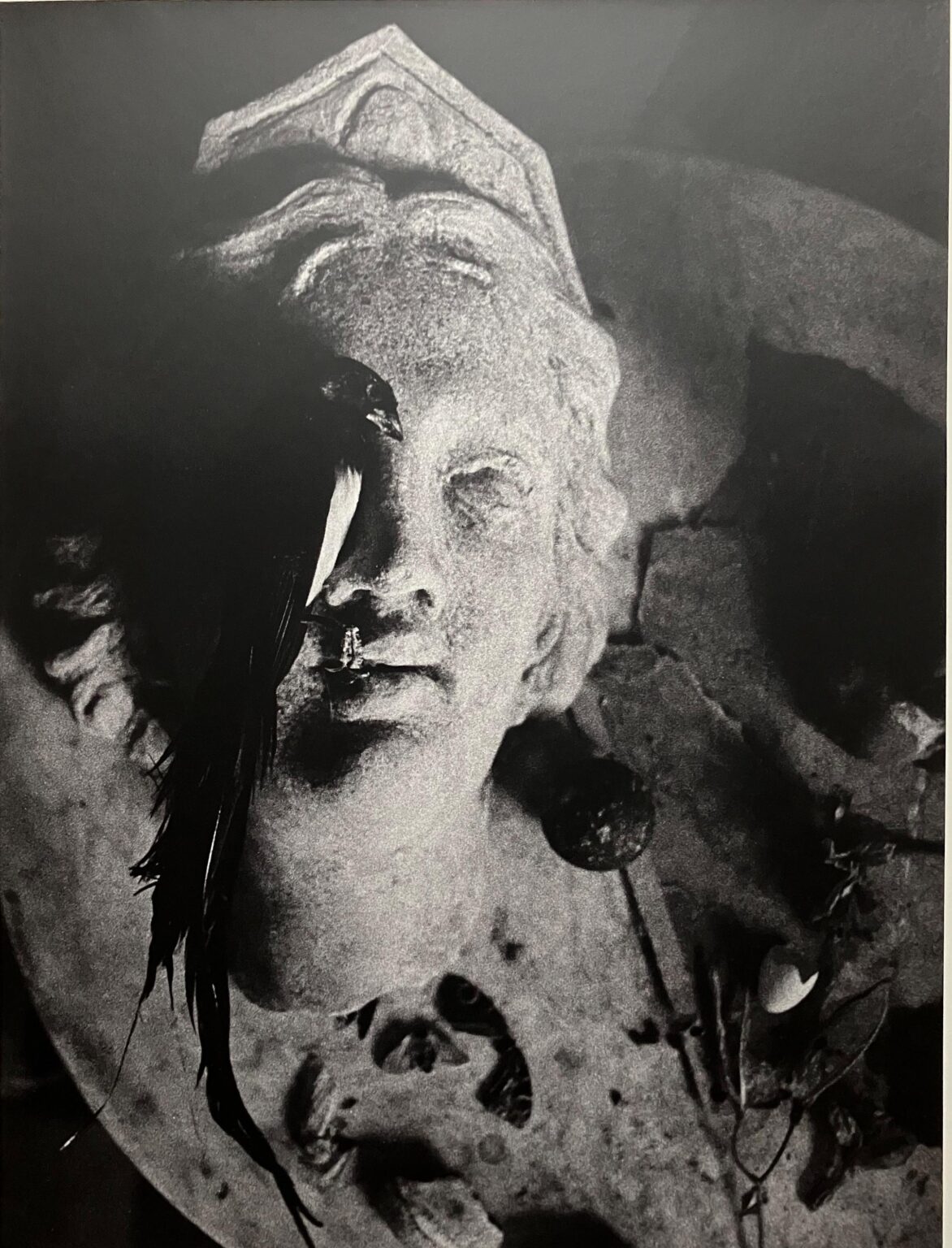 Stilleben mit totem Vogel - Ulrich Lindner 