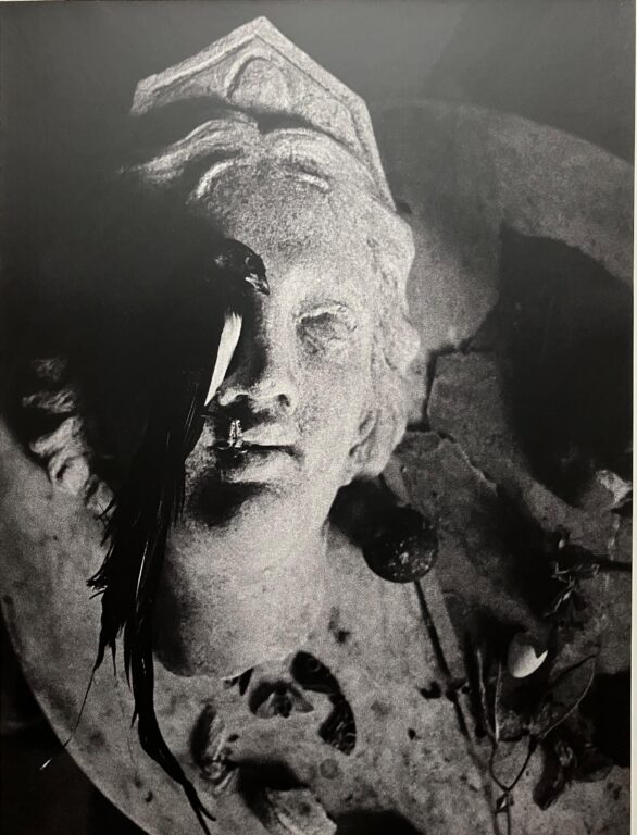 Stilleben mit totem Vogel - Ulrich Lindner 