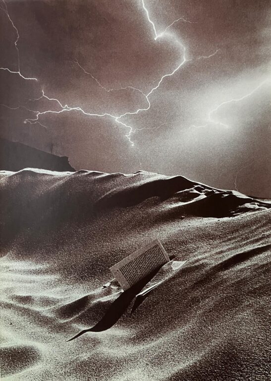 Das Gewitter - Ulrich Lindner 