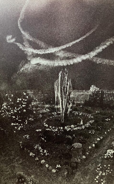 Garten der Arglosigkeit - Ulrich Lindner 