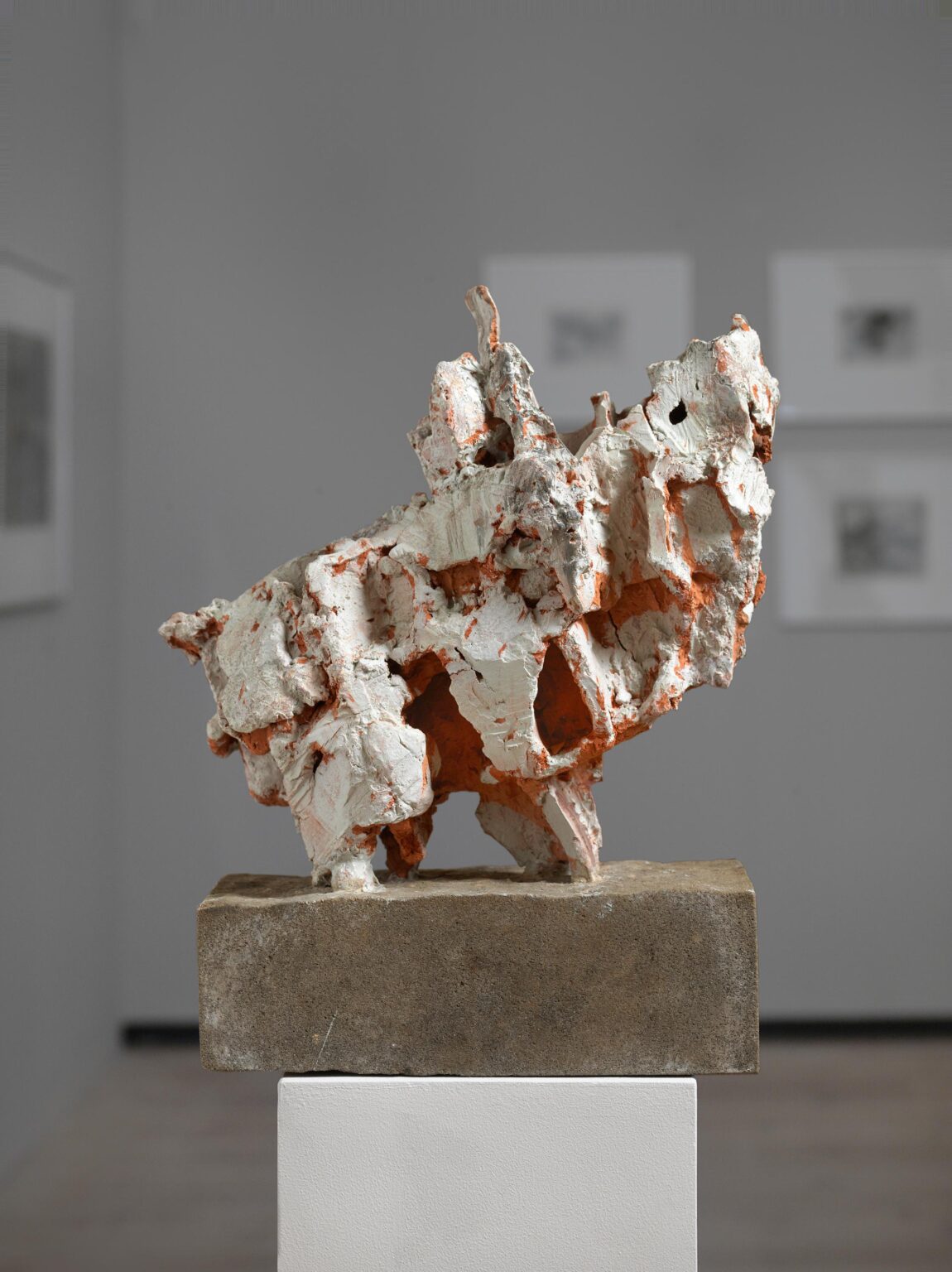 Galopp - Sylvia Hagen 