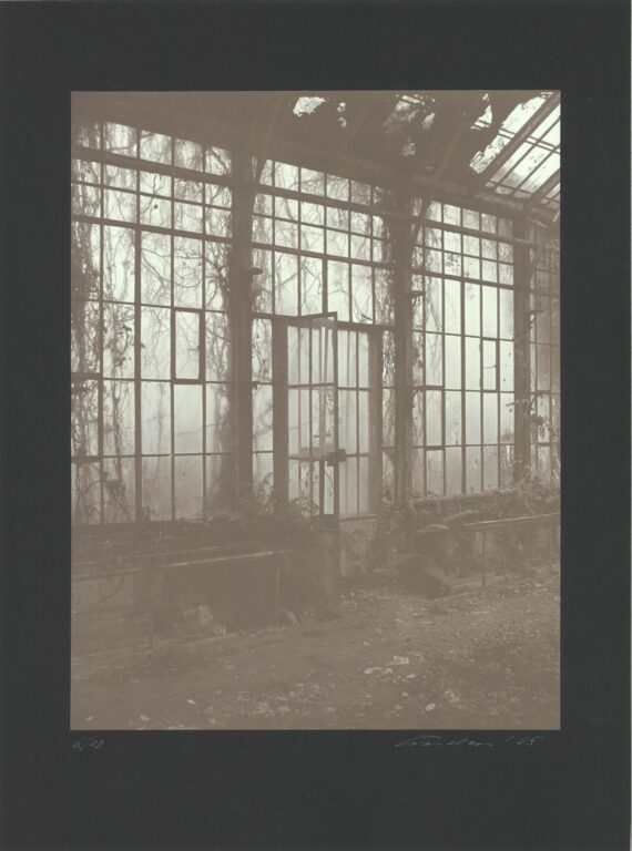 o. T. (Editionsblatt zur Kassette „Im Treibhaus“ von Dieter Hoffmann) - Ulrich Lindner 