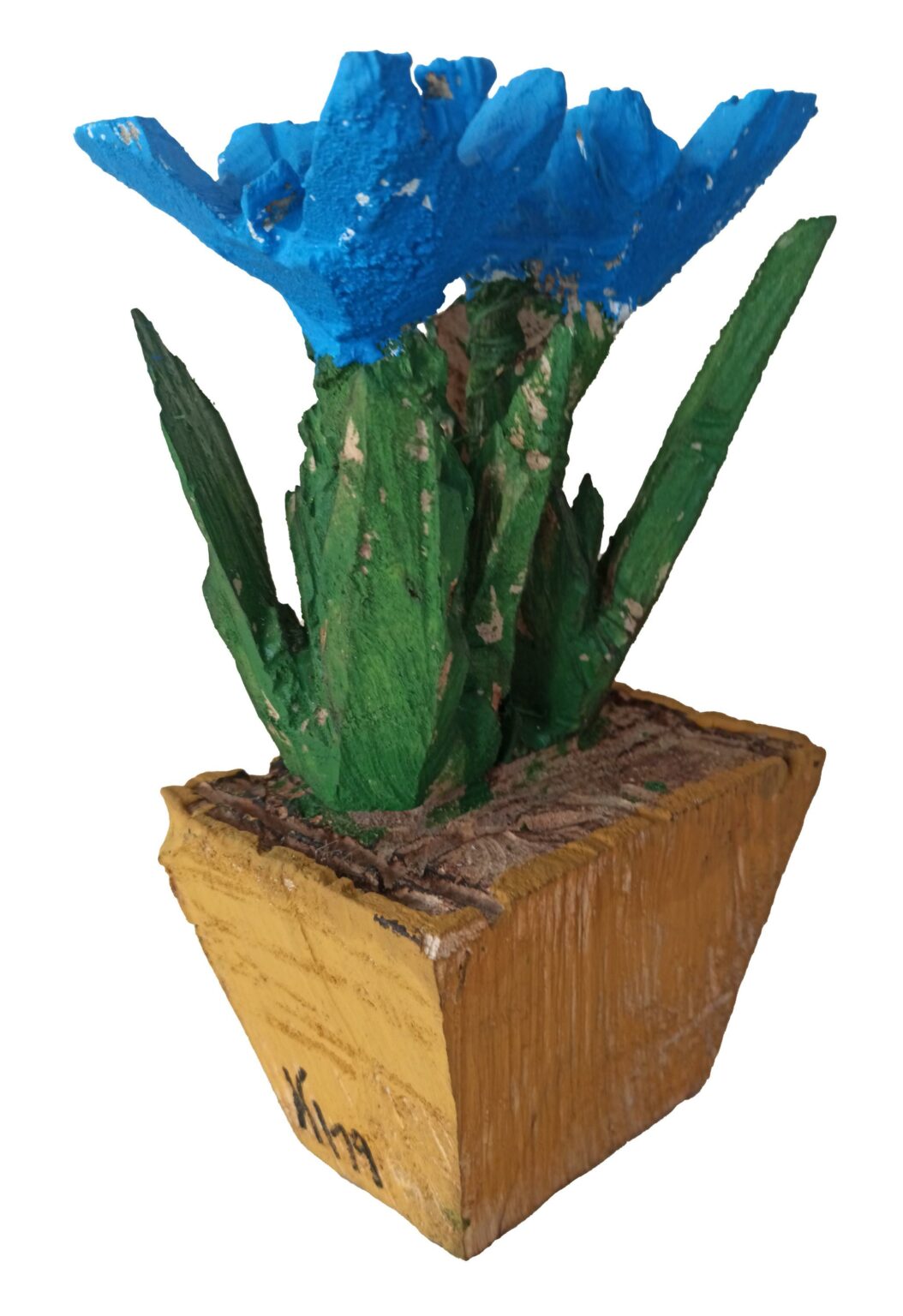 Topfblüte - Ralf Klement 