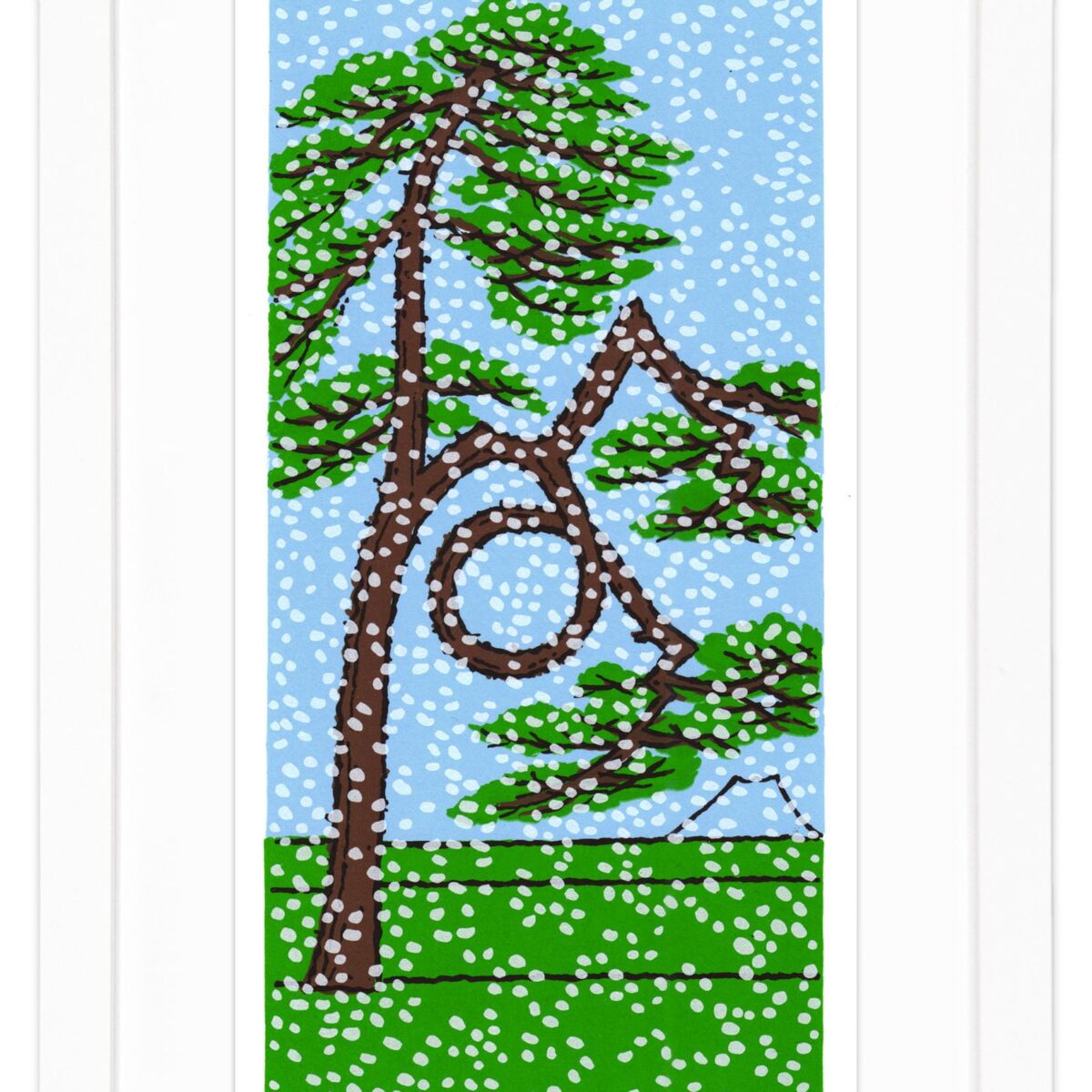 Glückskiefer im Schnee 