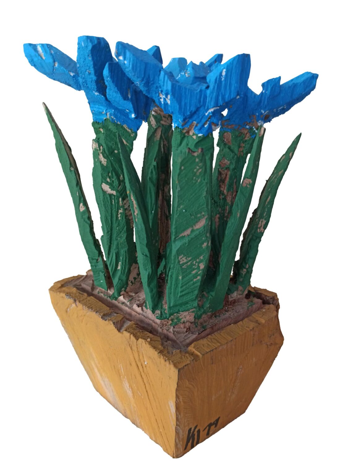 Topfblüte - Ralf Klement 
