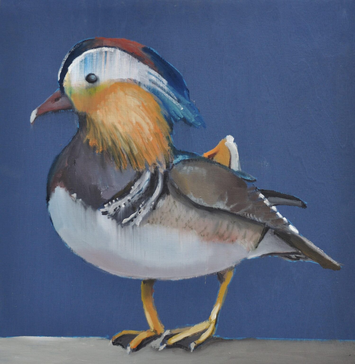Ente (Duck) - Jochen Pankrath 