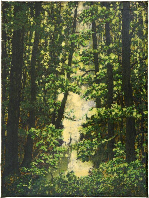 Wasserfall - Wulf Winckelmann 