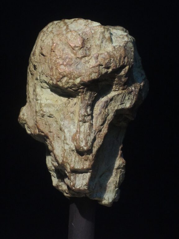 Kopf 303 - Dietrich Klinge 