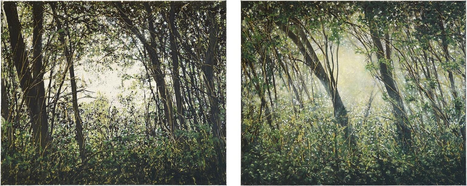 Dickicht/Unterholz - Wulf Winckelmann 