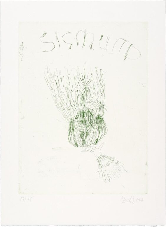 Wittelsbacher Schwan (Wittelsbach Swan) - Georg Baselitz 