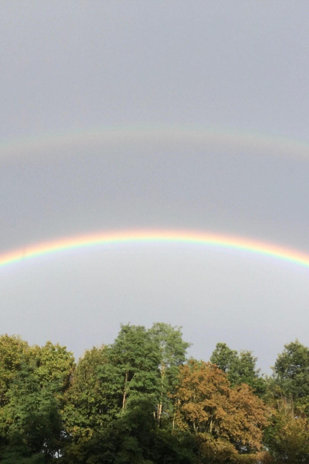 Screenshoot - Arquus 