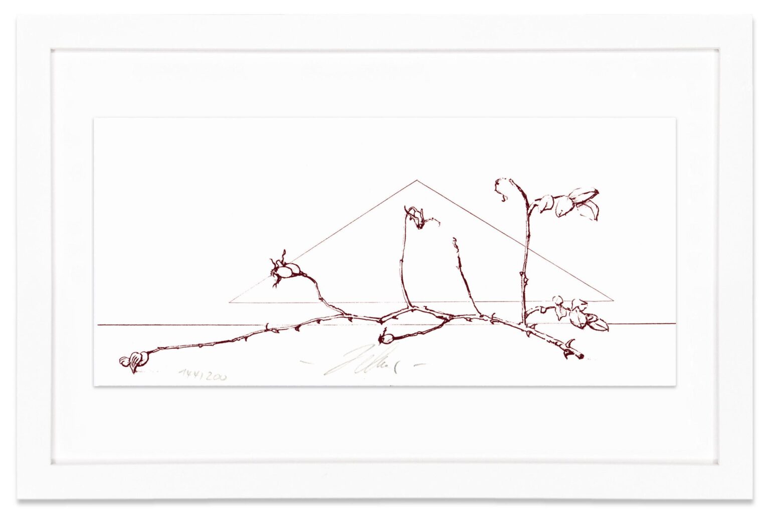 Hagebuttenzweig (Rosehip branch) - Wolfgang Zelmer 