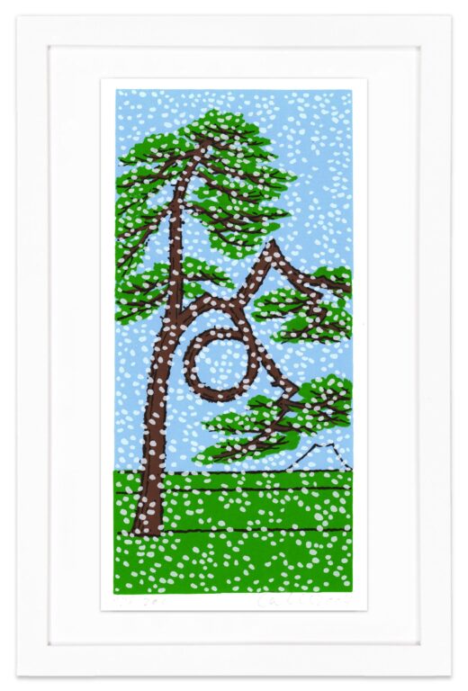 Glückskiefer im Schnee (Lucky pine in the snow) - Udo Kaller 