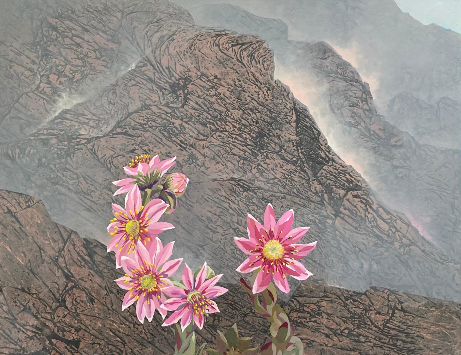 stein&uuml;berbl&uuml;ht - Wolfgang G. B&uuml;hler 