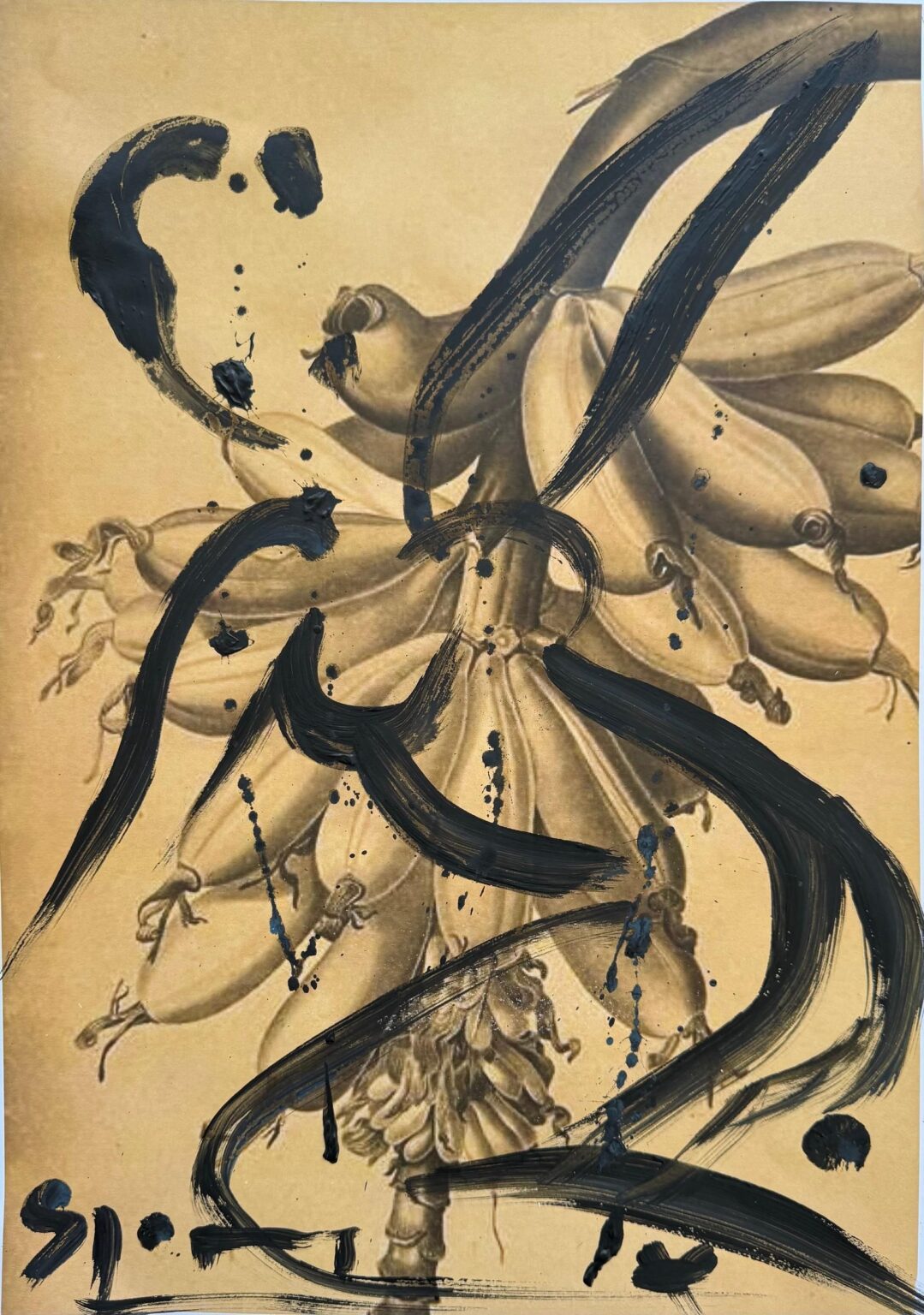 silhouette sur r&eacute;gime de bananes - Stefan Szczesny 