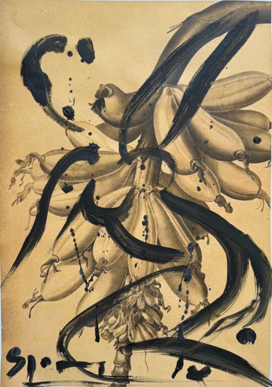 silhouette sur régime de bananes - Stefan Szczesny 