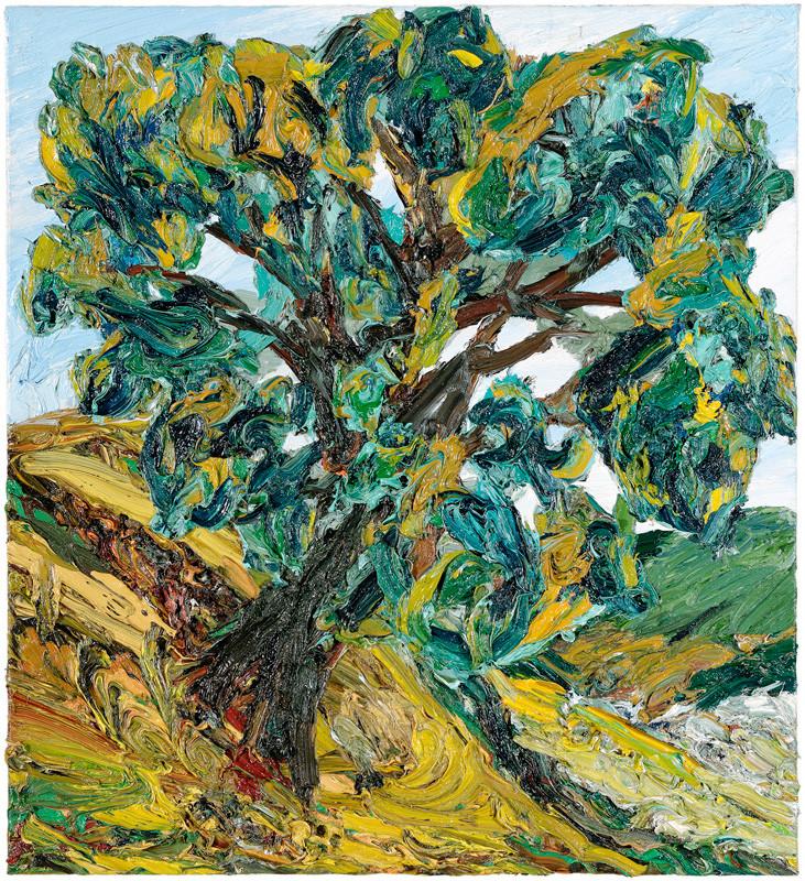 Baum (Sommer) - Harry Meyer 