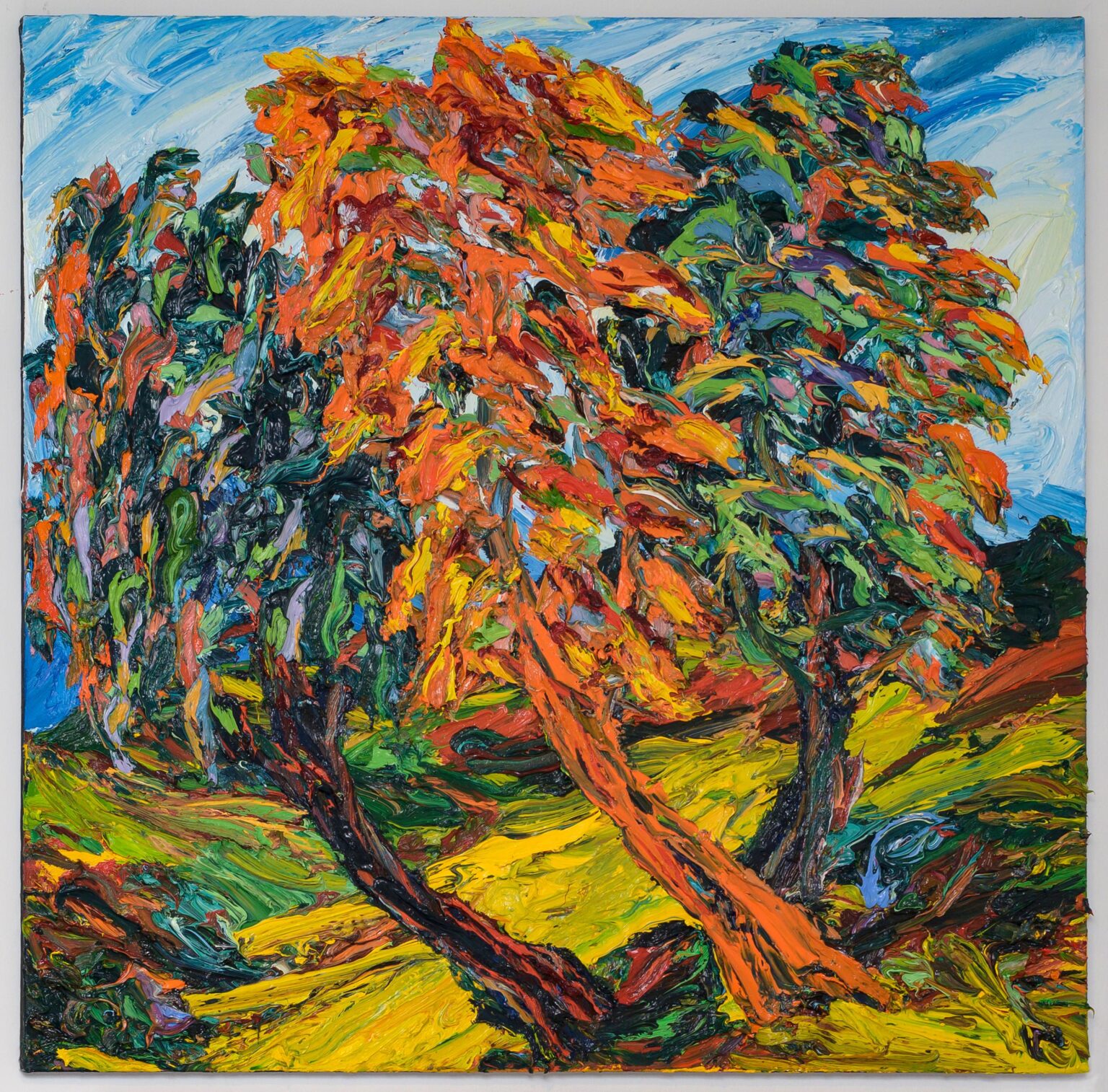 Baum - Harry Meyer 