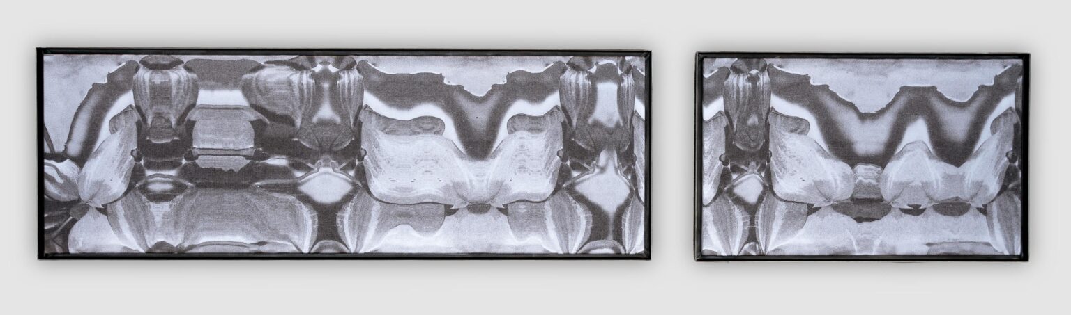 Omb (I) (II) - Emmi Heckel 