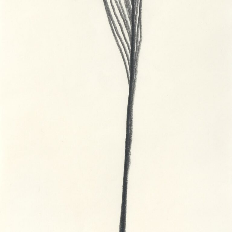 o.T. - Reiner Ruthenbeck 