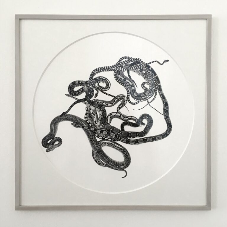 Schlangenmosaik II - Gabriele Rothemann 